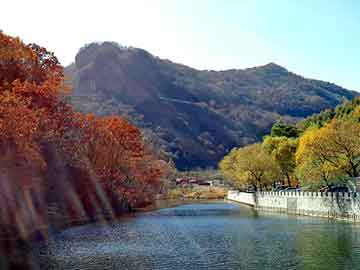 新澳天天开奖资料大全旅游团，重生之修仙系统